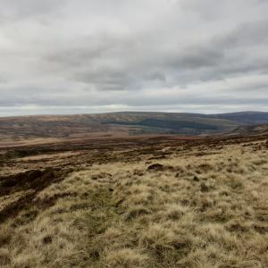 Moorland above the Goyt Valley