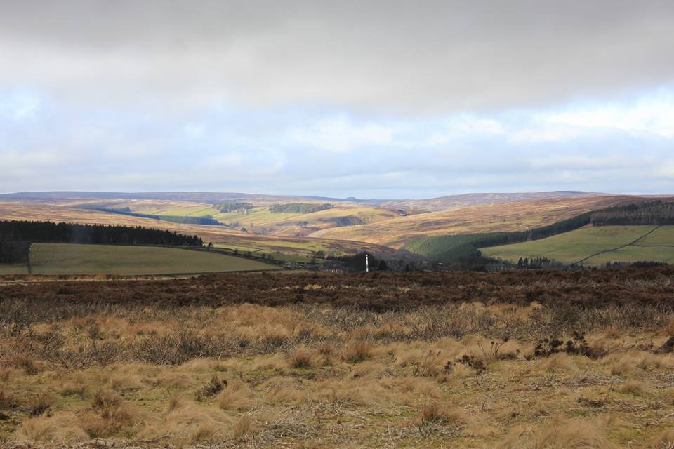 Burnhope Burn and Edmundbyers Common | OutdoorLads