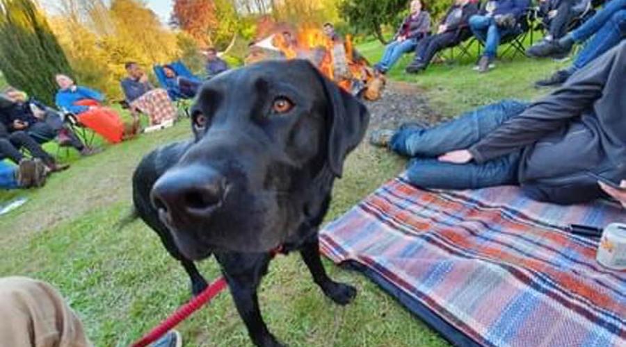 Craig & Tom's Black Labrador Dog 'Douglas' amidst the guys around the campfire 