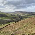 Moorland and wooded valley