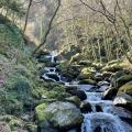 Exmoor Stream