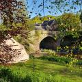 Camping - or glamping? - with a Bell Tent right beside the river in glorious sunshine