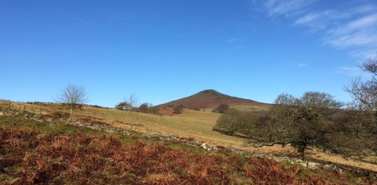 Sugar Loaf